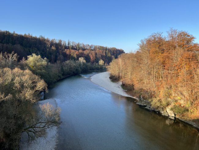 Mountainbike in den Isarauen